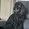 susannehoffmann122 - @susannehoffmann122 - TikTok