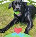 Susanne Hunter - Facebook