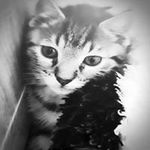 Susanne Kessler - @susannekessler12 - Instagram