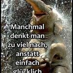 Susanne Koch - @susanne_koch - Instagram