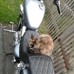 Susanne Lang - @s.u.lang.ha67 - Instagram