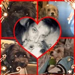 Susanne Lang - @susanne.lang.18 - Instagram