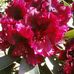 Susanne Lund - Facebook