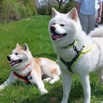 Susanne Maier - @susanne.maier848 - Instagram