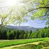 Susanna Morris - @susanna.morris4 - TikTok