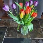 Susanne Morrison - @susanne.morrison.3 - Instagram