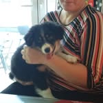 Susanne Nowak - @nash050114 - Instagram