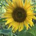 Susanne Nowak - Facebook