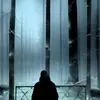 robbinssusannec - @robbinssusannec - TikTok