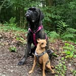 Susanne Schieffer - @suschi12 - Instagram