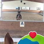 Susanne Schultz - @susanneschultz30 - Instagram