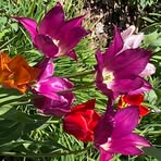Susanne Schultz - Facebook