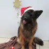 Susanne Seiler - @susanne.seiler0 - TikTok