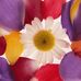 Prana-Zentrum Dr. Susanne Springer - Facebook
