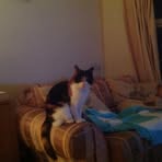Susanne Webb - Facebook