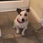 Susanne Webb - @susanne.webb.777 - Instagram