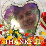 Susanne Webb Gleason - @lazesusan - Instagram