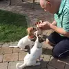 susannewebb7 - @susannewebb7 - TikTok