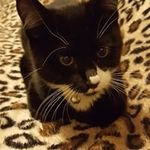 Susanne Wilson - @susanne5254 - Instagram