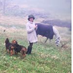 Susanne Wilson - @susannewilsonshaven - Instagram