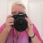 Susanne Wilson - @susannewilson2542 - Instagram