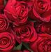 Sushmita Mukherjee - Facebook