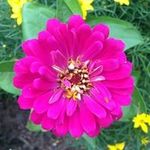 Susan Bender - @susanbender.susanbender - Instagram