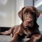 Susie Mel Benson - Facebook