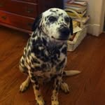 Susan Booth - @susan.booth.18 - Instagram