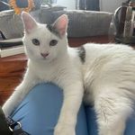Susie B Burt - @susiebburt - Instagram
