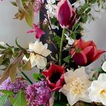 Susie Burt - @thealpinegardener - Instagram