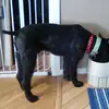 susie.bush - @susie.bush6 - TikTok