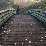 Susie Chan - @ss_chan_ca - Instagram