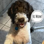 Susan Crooks Myers - @susanmyers_6720 - Instagram