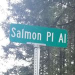 Susie Cunningham - @salmonplace98303 - Instagram