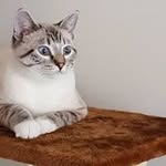 Susie David - @susie.david - Instagram