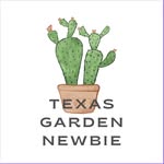 Susie De Leon - @texasgardennewbie - Instagram