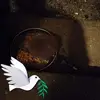 Susie Fleming - @susie.fleming37 - TikTok