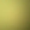 Susie Fleming - @susie.fleming3 - TikTok