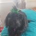 Susie Huff Fleming - Facebook