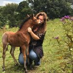 Susie Gordon - @susiegordon72 - Instagram