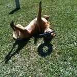 Susie Gordon - @susiegordon70 - Instagram