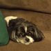 Susan Hager - Facebook