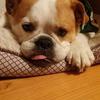 Susie Hager - @susie.hager - TikTok