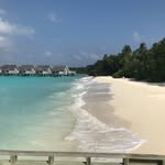 susie harrison - @susieharrison76 - Instagram