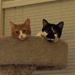 Susie Hooks - @susiehooks - Instagram