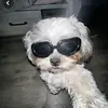 Susie🫶 - @susie_hook - TikTok