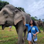 Susie.H 🇬🇾🌸🐘🌸 - @susiehookumchand - Instagram