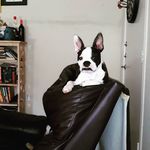 Susie Hooker - @hookersusie - Instagram