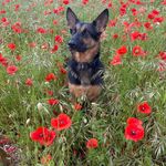 Susie James - @susie.james.587 - Instagram